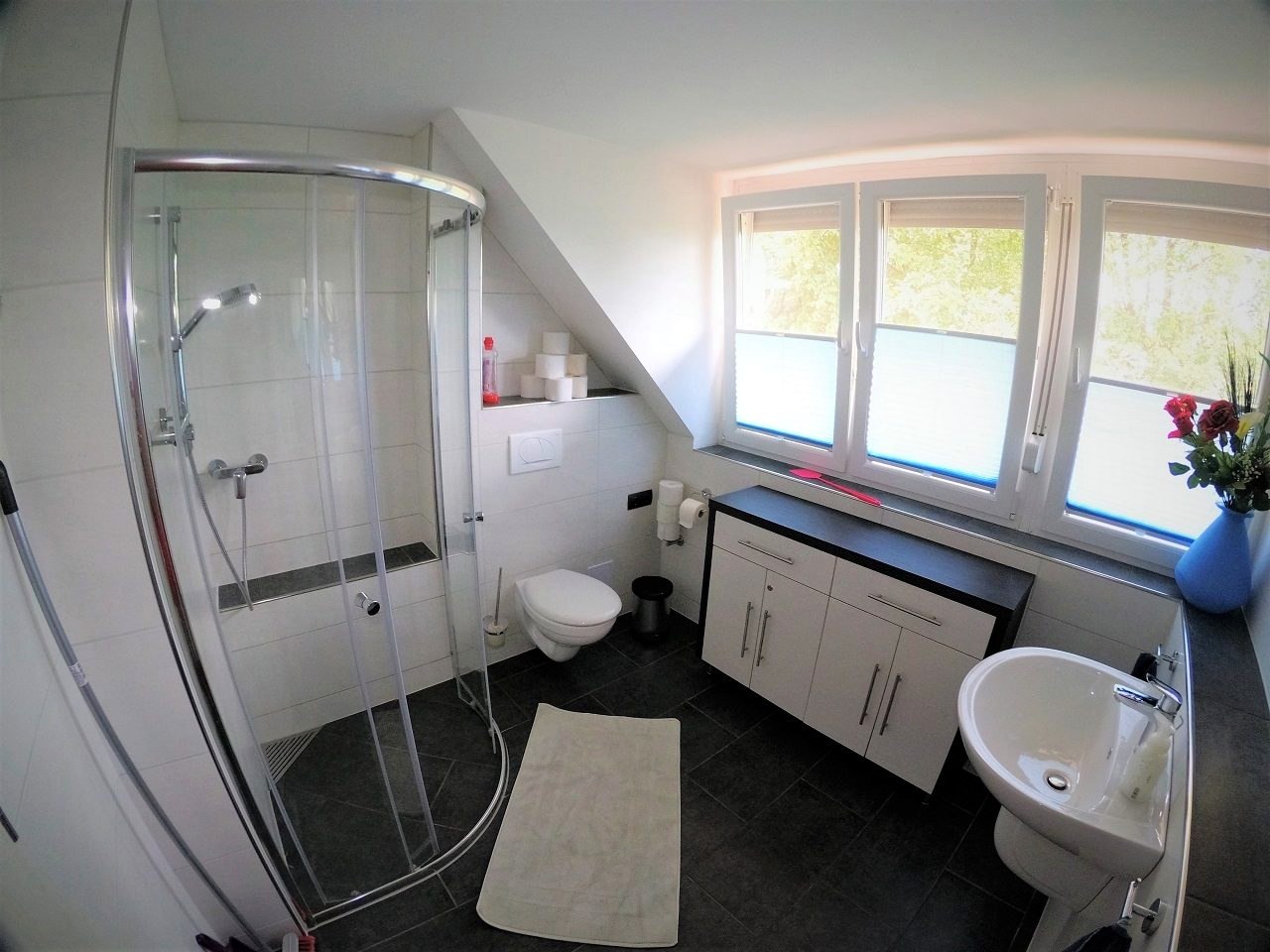 The upstairs bathroom with a shower cabin and a roof window