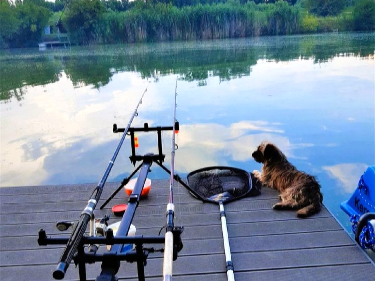 Fishing rods on the jetty, early morning