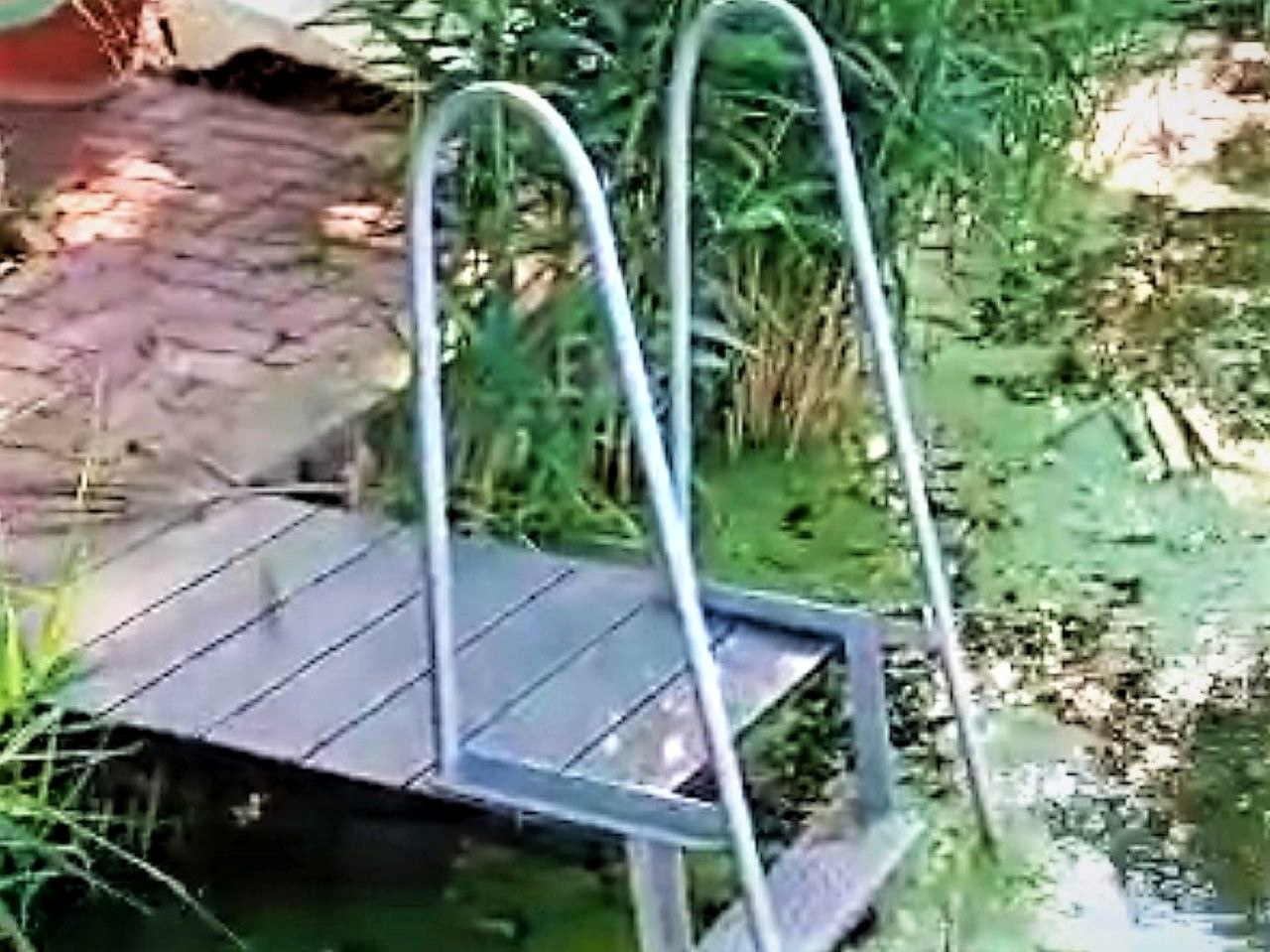 A ladder into the water beside the jetty