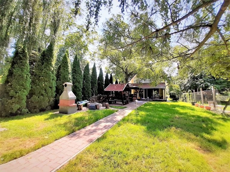 The house from the garden, with the paved drive and the garden oven